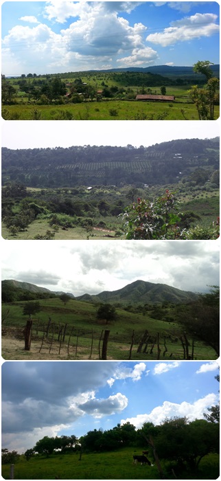 rurales