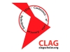 Informe del CIGA para CLAG: periodo Junio a Diciembre de 2020.