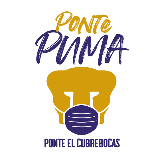 PONTE PUMA COLOR