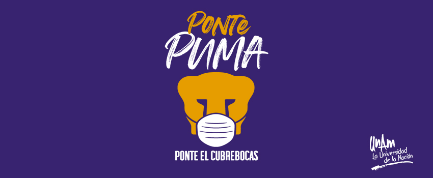 Ponte Puma