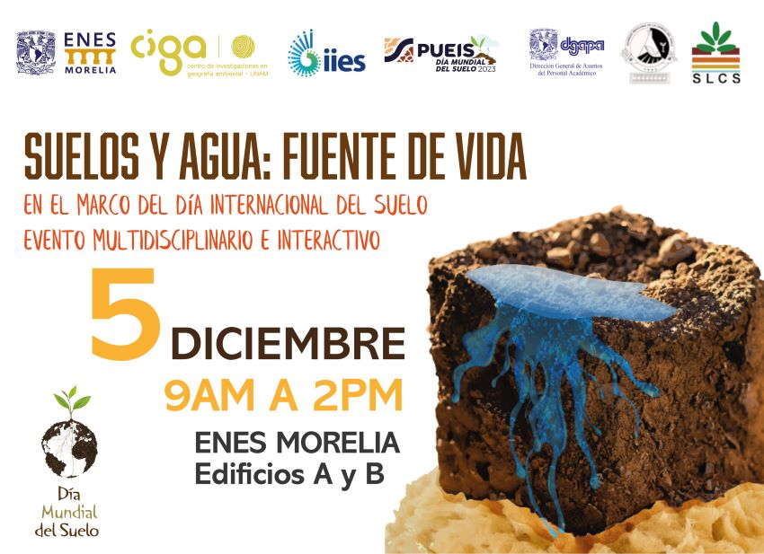 feria5dic