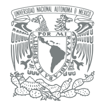 UNAM LOGO