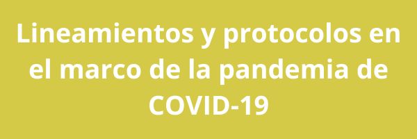 Banner regreso