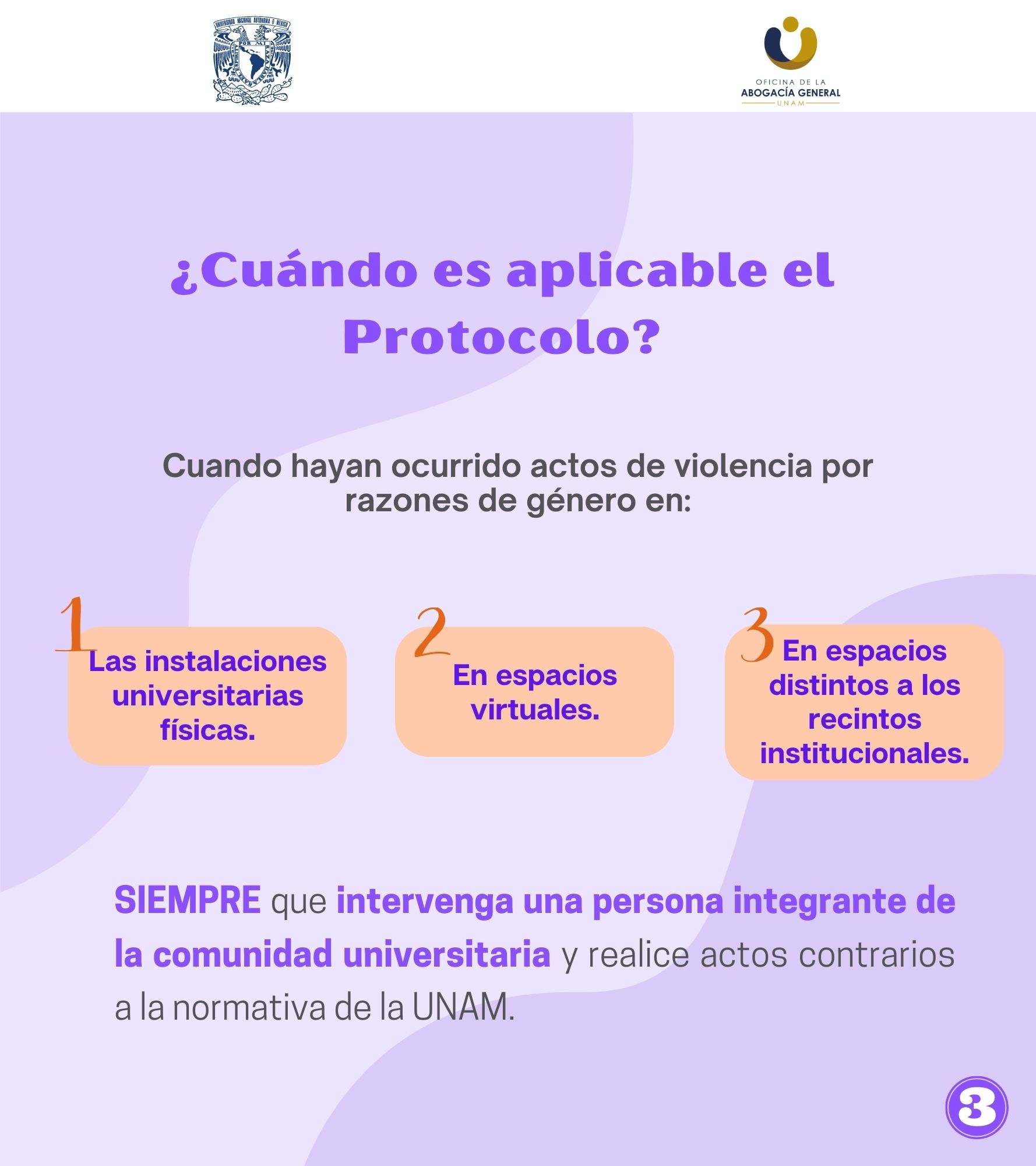 Infografía 3