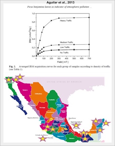 integrantes