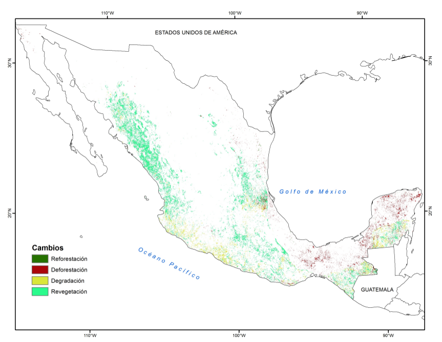 Mapa cambio cubierta forestal